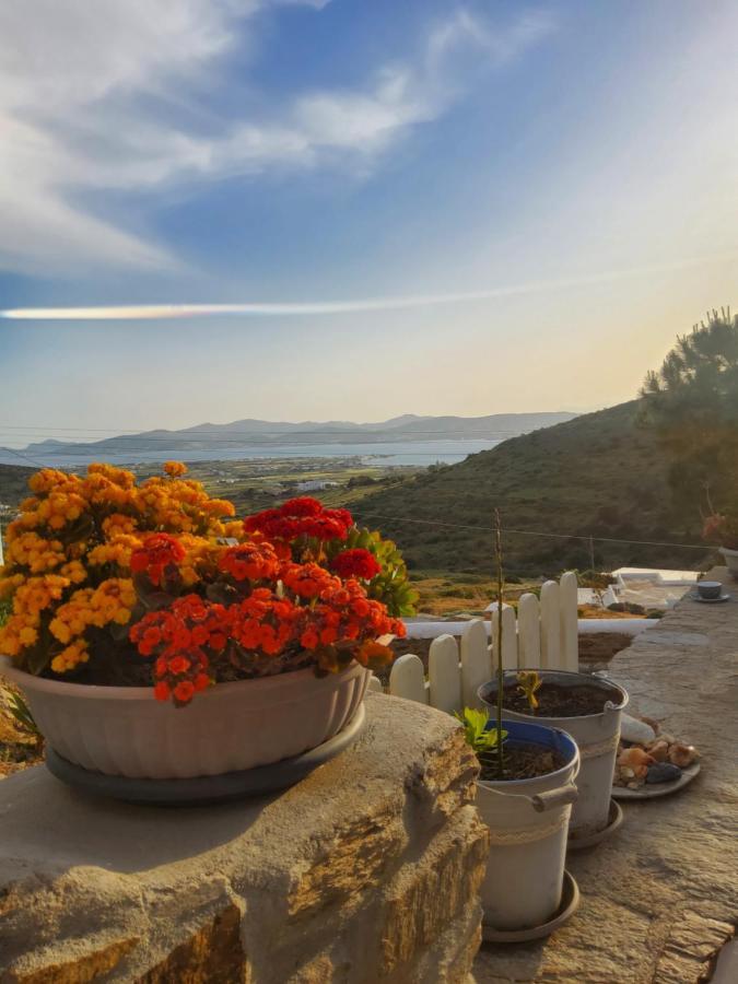 Romantic Sunset Cycladic House In Sotires Moni Christou Dasous Exterior foto