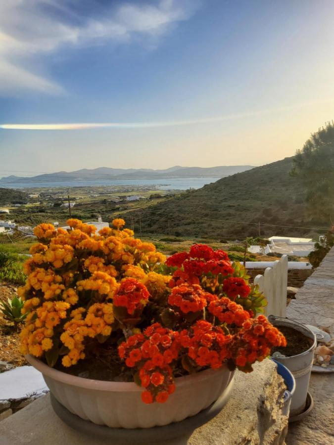 Romantic Sunset Cycladic House In Sotires Moni Christou Dasous Exterior foto